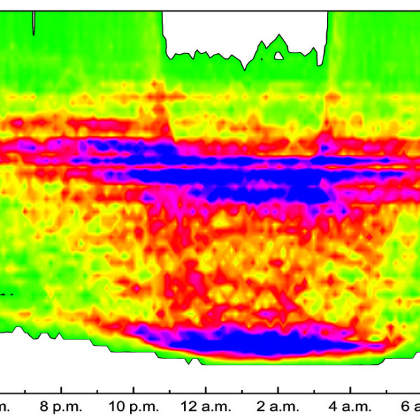 Night Sky Analysis Berlin