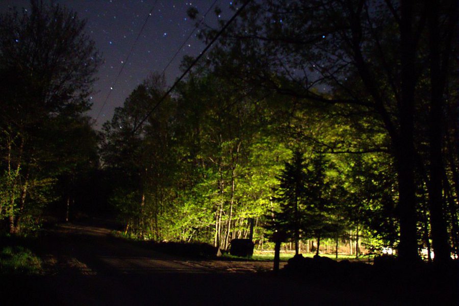 Country Road at Night