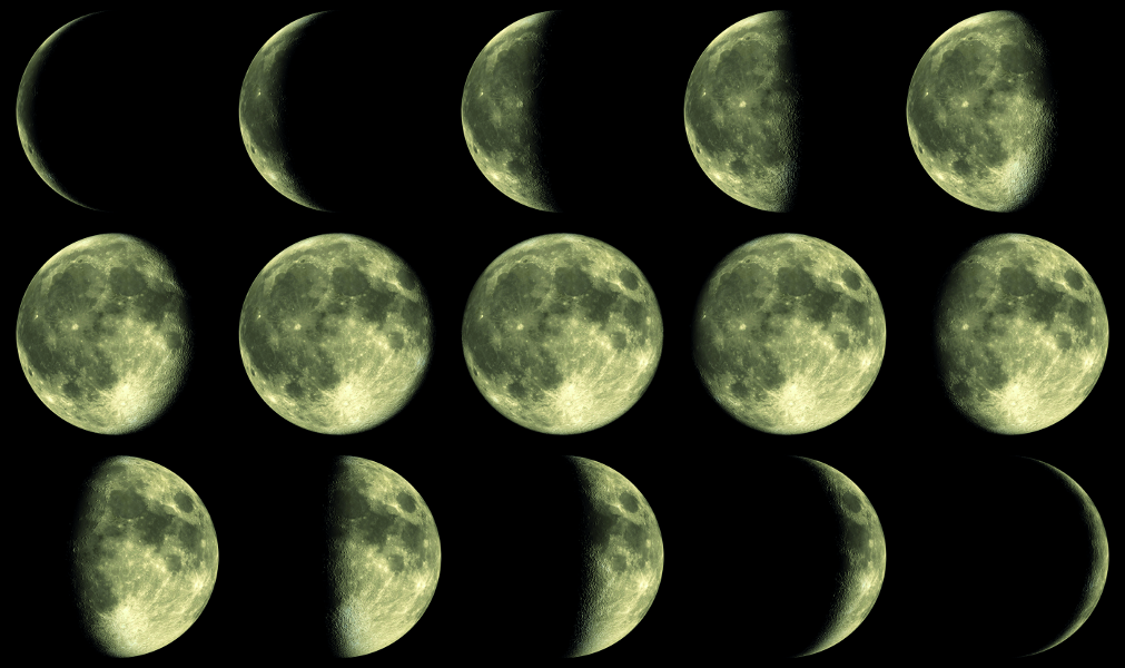 Phases of the Moon